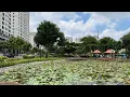 Download Lagu Ho Chi Minh City Vietnam LIVE Exploring Wednesday Afternoon (September 17, 2025)