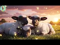 Five Little Baby Lambs Bleat Bleat Bleat | Farm Animal Song & Counting Rhyme