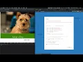 Integrating Split with FullStory