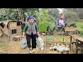 Lagu Building a Future from Nothing: Grandma and Granddaughter’s New Life with Their Tiny Farm.