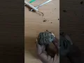 watch full in https://youtu.be/rL4S6OQ_NY8?feature=shared