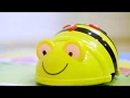 Bee-Bot Lesson Idea 1 from TTS Group