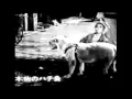 Lagu Hachiko recording reality!