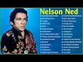 Download Lagu NELSON NED- SUS GRANDES ÉXITOS- ÁLBUM COMPLETO GRANDES SUCESSOS