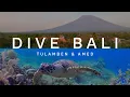 Dive Bali | Tulamben \u0026 Amed | Indonesia | 4K HDR | 2024