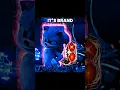 Download Lagu Sonic Has Speed It's Brand | Sonic The Hedgehog 3 | soinc 3 #shorts #soinc