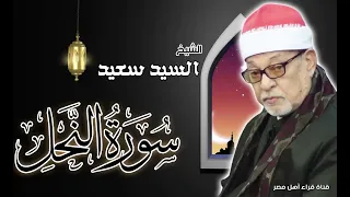 القارئ الشيخ السيد سعيد وما تبسر له من سورة النحل  القارئ الشيخ السيد سعيد وما تبسر له من سورة النحل
