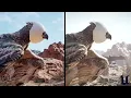Meerkat Demo Comparison UE4 vs UE5 1 LIGHTING STUDY