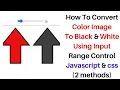 Convert Image to Black and White Grayscale front end web design