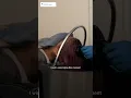 i got a scalp treatment in LA here s how it went