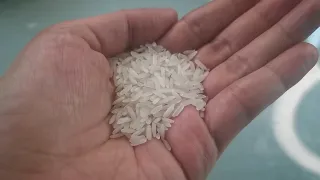 HULING ARAW NG GHOST MONTH SEPTEMBER 11 GAMITIN ANG BIGAS AT MAKAKABAYAD KA AGAD NG MGA UTANG MO 