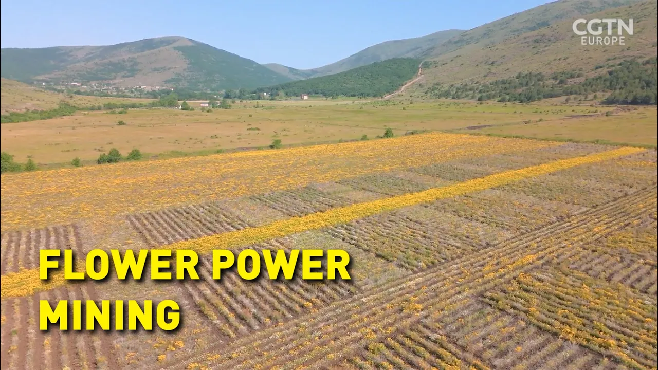 These plants could change the future of mining