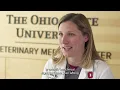 Tackling acute colitis in dogs Diagnosis and treatment strategies