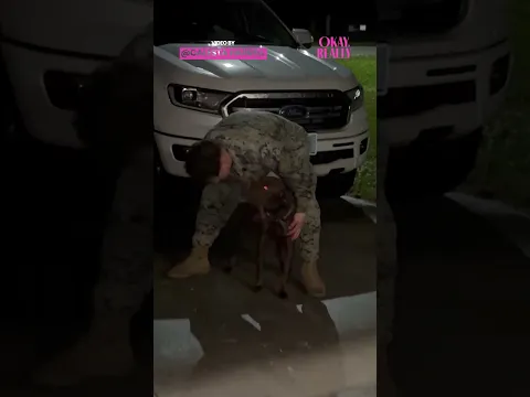 His Dog Was So Excited To See Him After So Long 🥰