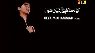 mere nana nabi meri maa syeda mera baba ali mera bhi hassan hum ha 5 tian