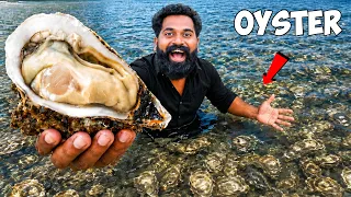 oyster with tapioca kerala style m4 tech 