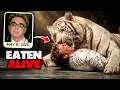 Mauled by His Own Tiger The Night That Ended Siegfried Roy