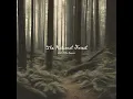 No Matter The Miles - The National Forest