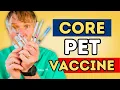 How to Vaccinate Your Pets Wisely Avoid Over-Vaccination and Side Effects