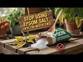 The Truth About Epsom Salt in Tomatoes Peppers and Cucumbers Miracle or Mistake