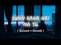 Download Lagu Sunn Raha Hai Na Tu Male Version | Aashiqui 2 | Slowed+reverb | Lofi Song | Aditya R. K.,Shraddha K.