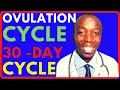 HOW TO CALCULATE YOUR SAFE DAYS WHEN IS MY OVULATION FERTILE DAYS OVULATION FOR A 30 DAY CYCLE