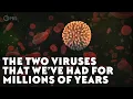 The Two Viruses That We ve Had For Millions of Years