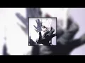 COBRA TATE PHONK - Nateki, $werve, HXI