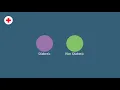 Introduction to Deep Learning ep 1 - Binary Classification Problems