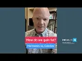 Of Course Calories Count But Hormones Also Matter in Fat Gain Thoughts from Dr Ben Bikman