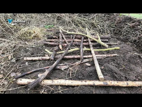 Broeihoop voor ringslangen Lindehoeve