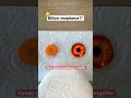 Download Lagu BENZEDİĞİ ORGANA İYİ GELEN YİYECEKLER!