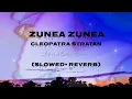 Lagu Zunea Zunea ( slowed+ reverb) - Cleopatra Stratan | it's nature time