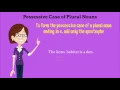 Singular Plural Possessive Nouns