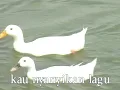Iis Sugianto - Jangan Sakiti Hatinya