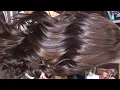Lagu complete hair rejuvenation ⋅˚ ୨୧ silky smooth thick voluminous hair (exp)
