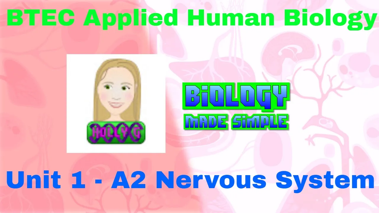 BTEC Applied Human Biology Unit 1 A2 Nervous system