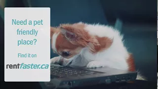 Pet Friendly Rental 2