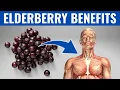 ELDERBERRY BENEFITS - 13 Amazing Health Benefits of Elderberry