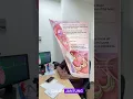 Download Lagu sakit gigi bisa jadi sakit jantung, bagaimana?