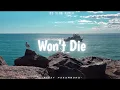 Download Lagu DJ SLOW REMIX!!! Won't die (RIYAT PSMBNA REMIX)