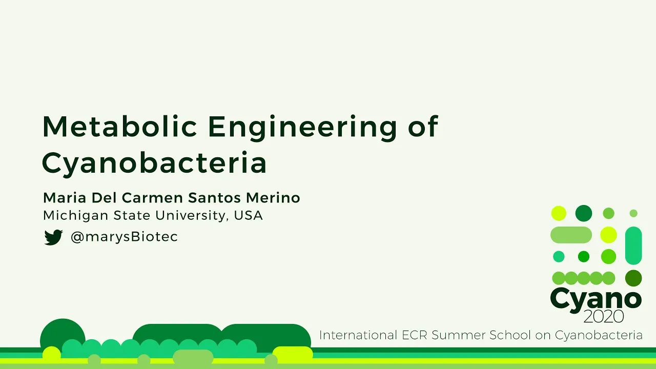 Maria Del Carmen Santos Merino | Metabolic Engineering of Cyanobacteria