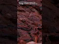 Download Lagu Astrobio Shorts: The Australian Outback \u0026 NASA’s Search for Life on Mars (Trailer)