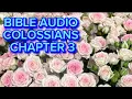 BIBLE - NKJV-COLOSSIANS 3 OUR LIFE IS HIDDEN TO CHRIST