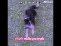 Whistle while you work…?