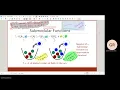 CS769 2024 Lec 22 Submodular functions equivalent definitions basic properties