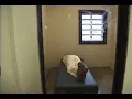 Welcome to Warren Inmates and Guards on Life in Prison