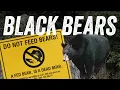 Nuisance Black Bears in Eastern Kentucky