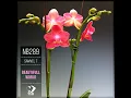 Beautifull World (Original Mix)