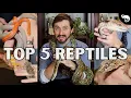 Top 5 Reptiles For Beginners